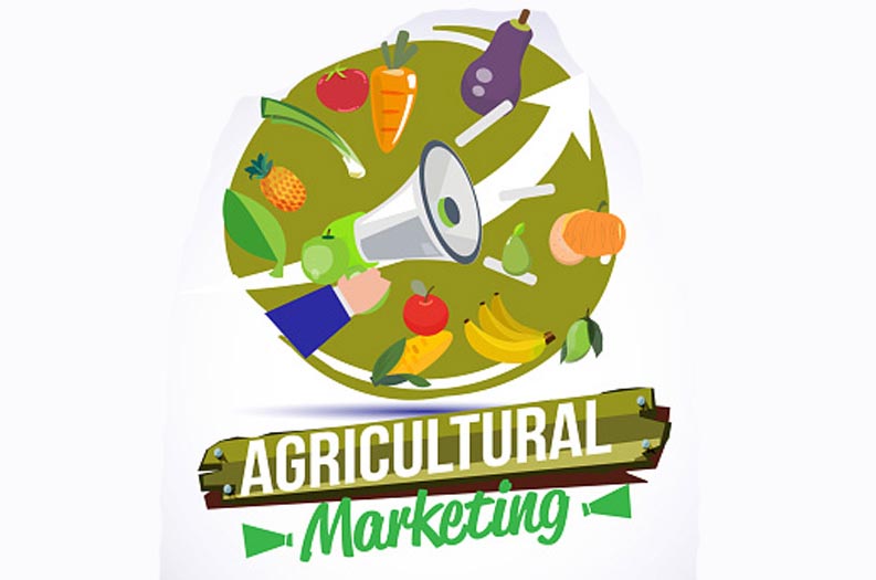 Tài liệu môn marketing nông nghiệp mới nhất 2021