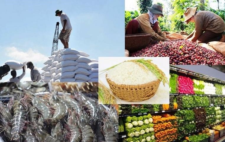 Tài liệu môn thị trường nông sản thế giới mới nhất 2021
